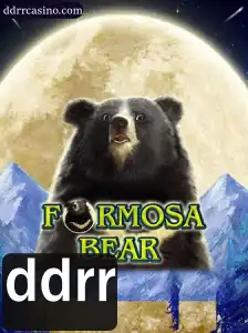 Explorando o Mundo de FormosaBear: Uma Jornada Inovadora